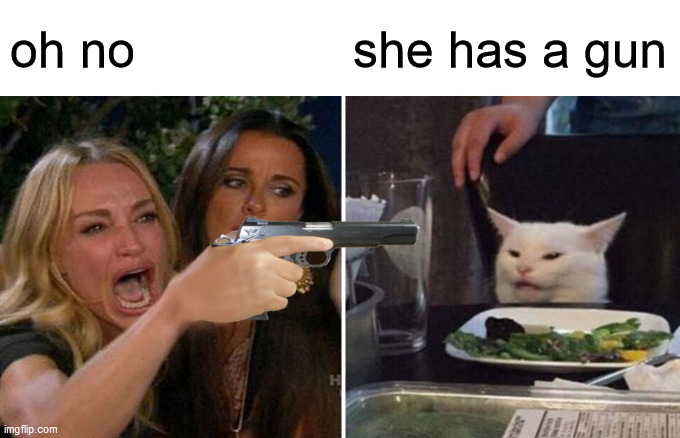 OH NO | oh no; she has a gun | image tagged in woman yelling at cat | made w/ Imgflip meme maker