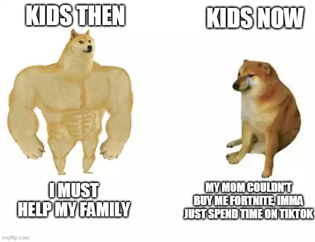 Kids then vs Kids now | KIDS THEN; KIDS NOW; I MUST HELP MY FAMILY; MY MOM COULDN'T BUY ME FORTNITE, IMMA JUST SPEND TIME ON TIKTOK | image tagged in buff doge vs cheems | made w/ Imgflip meme maker