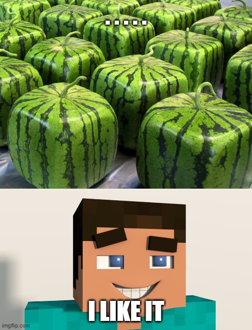 Looks like Steve loves watermelons! | . . . . . I LIKE IT | image tagged in steve minecraft,minecraft melons | made w/ Imgflip meme maker