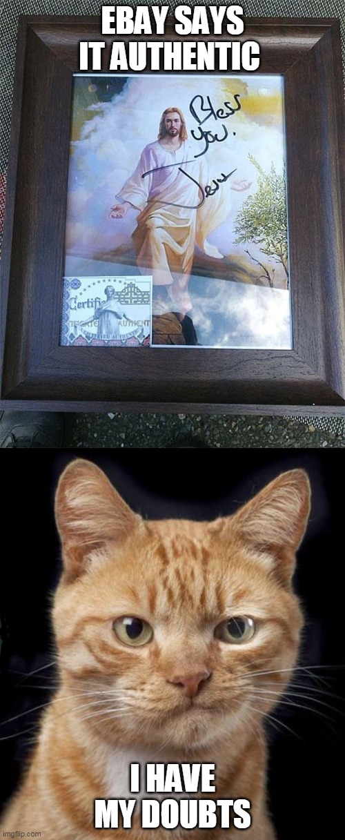 doubt | EBAY SAYS IT AUTHENTIC; I HAVE MY DOUBTS | image tagged in doubting cat,jesus,autograph,ebay | made w/ Imgflip meme maker