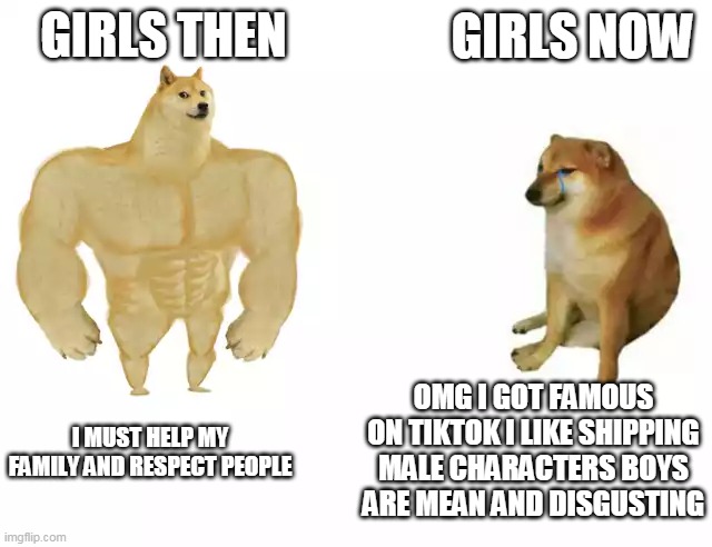 Girls then vs Girls now | GIRLS NOW; GIRLS THEN; OMG I GOT FAMOUS ON TIKTOK I LIKE SHIPPING MALE CHARACTERS BOYS ARE MEAN AND DISGUSTING; I MUST HELP MY FAMILY AND RESPECT PEOPLE | image tagged in buff doge vs cheems | made w/ Imgflip meme maker