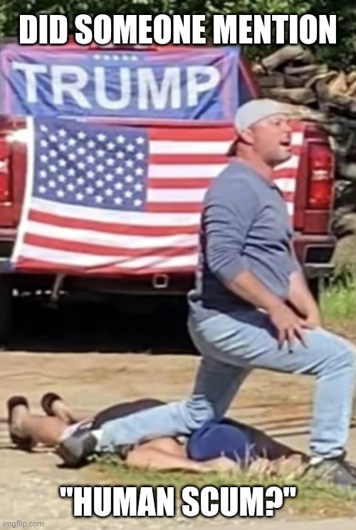 George Floyd murder imitation | DID SOMEONE MENTION; "HUMAN SCUM?" | image tagged in george floyd murder imitation,trump supporters,assholes,bullies,racists,sadism | made w/ Imgflip meme maker