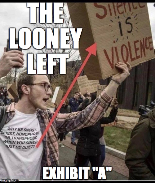 That degree in Art History didn't have any required Logic courses, did it? | THE 
LOONEY 
LEFT; EXHIBIT "A" | image tagged in looney left,stupid liberals | made w/ Imgflip meme maker