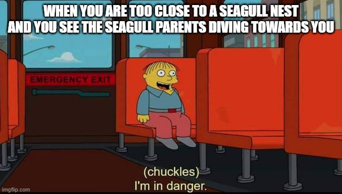 im in danger | WHEN YOU ARE TOO CLOSE TO A SEAGULL NEST AND YOU SEE THE SEAGULL PARENTS DIVING TOWARDS YOU | image tagged in im in danger | made w/ Imgflip meme maker