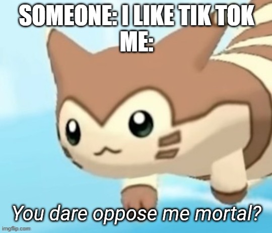 Furret | SOMEONE: I LIKE TIK TOK
ME: | image tagged in furret you dare oppose me mortal | made w/ Imgflip meme maker