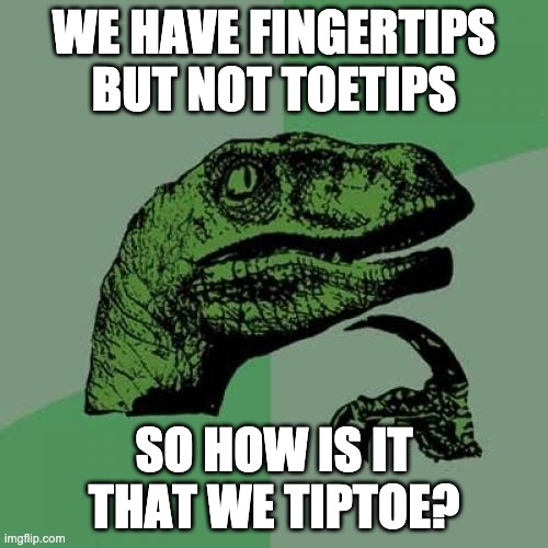 *Illuminati Noises* | WE HAVE FINGERTIPS BUT NOT TOETIPS; SO HOW IS IT THAT WE TIPTOE? | image tagged in memes,philosoraptor | made w/ Imgflip meme maker