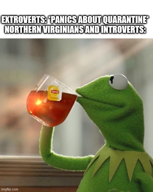 I know that this is kind of bland | EXTROVERTS: *PANICS ABOUT QUARANTINE*
NORTHERN VIRGINIANS AND INTROVERTS: | image tagged in memes,but that's none of my business,covid-19,northern virginians,extroverts,introverts | made w/ Imgflip meme maker