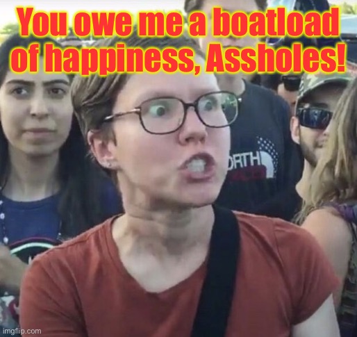 Triggered feminist | You owe me a boatload of happiness, Assholes! | image tagged in triggered feminist | made w/ Imgflip meme maker