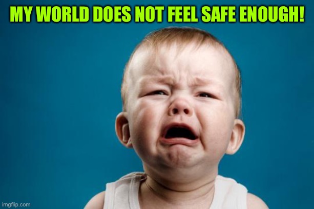 BABY CRYING | MY WORLD DOES NOT FEEL SAFE ENOUGH! | image tagged in baby crying | made w/ Imgflip meme maker