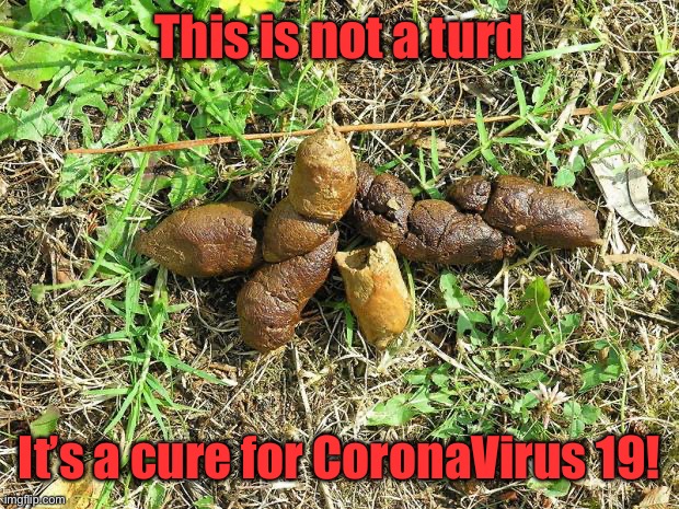 dog turd | This is not a turd It’s a cure for CoronaVirus 19! | image tagged in dog turd | made w/ Imgflip meme maker