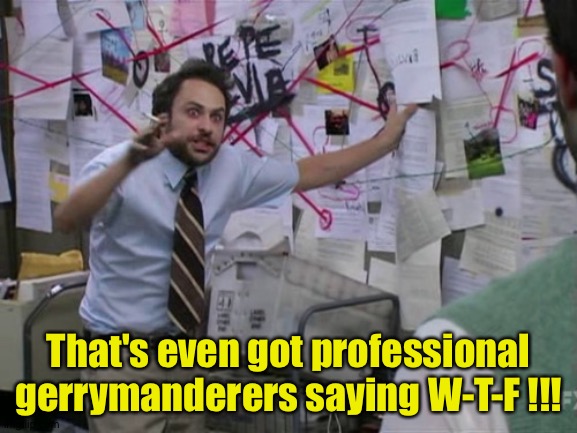 Charlie Day | That's even got professional gerrymanderers saying W-T-F !!! | image tagged in charlie day | made w/ Imgflip meme maker