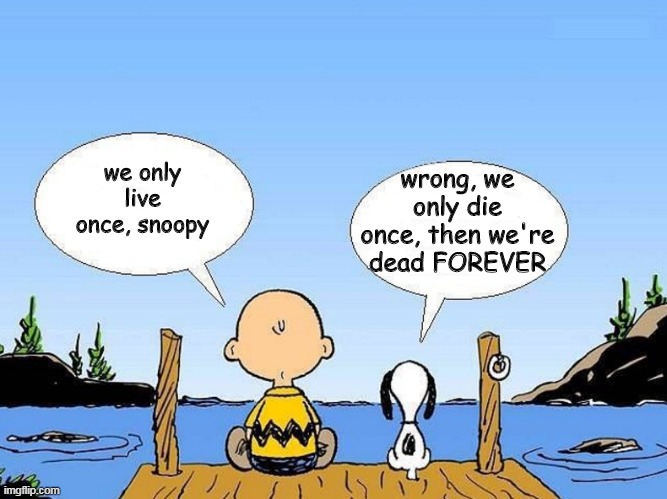 Live once Die forever | wrong, we only die once, then we're dead FOREVER; we only live once, snoopy | image tagged in snoopy | made w/ Imgflip meme maker
