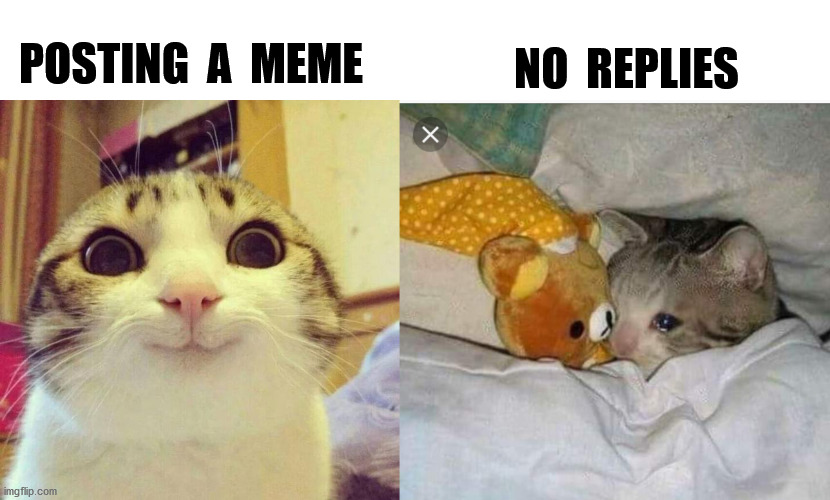 ... | NO  REPLIES; POSTING  A  MEME | image tagged in memes,smiling cat,sad cat | made w/ Imgflip meme maker
