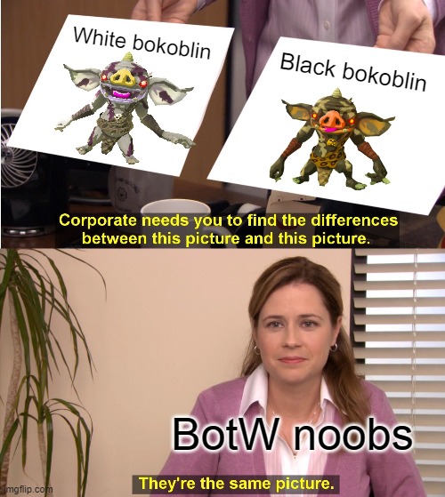 Exactly! | White bokoblin; Black bokoblin; BotW noobs | image tagged in memes,they're the same picture,the legend of zelda breath of the wild,nintendo | made w/ Imgflip meme maker