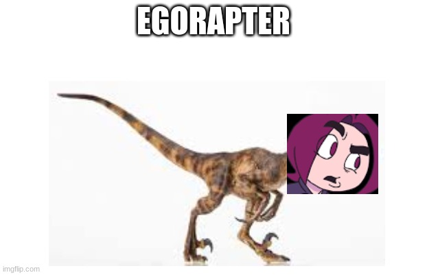 his name has raptor in it | EGORAPTER | image tagged in egoraptor | made w/ Imgflip meme maker