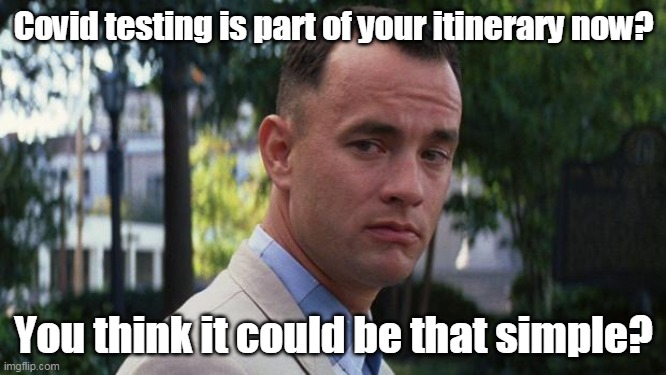I have anti Bods | Covid testing is part of your itinerary now? You think it could be that simple? | image tagged in covid-19,covid19,covid 19,covid,forest gump,simple | made w/ Imgflip meme maker