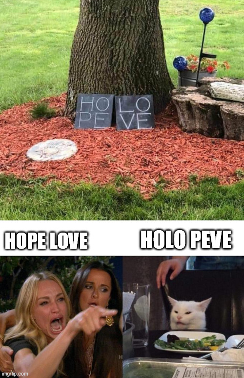HOLO PEVE; HOPE LOVE | image tagged in memes,woman yelling at cat | made w/ Imgflip meme maker