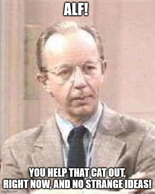 ALF! YOU HELP THAT CAT OUT, RIGHT NOW, AND NO STRANGE IDEAS! | made w/ Imgflip meme maker