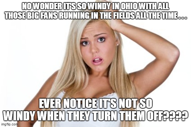 Dumb Blonde | NO WONDER IT'S SO WINDY IN OHIO WITH ALL THOSE BIG FANS RUNNING IN THE FIELDS ALL THE TIME . . . EVER NOTICE IT'S NOT SO WINDY WHEN THEY TURN THEM OFF???? | image tagged in dumb blonde,funny,fun,funny meme,funny memes,bad pun | made w/ Imgflip meme maker