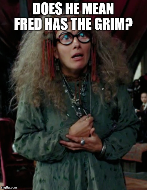 Professor Trelawney | DOES HE MEAN FRED HAS THE GRIM? | image tagged in professor trelawney | made w/ Imgflip meme maker