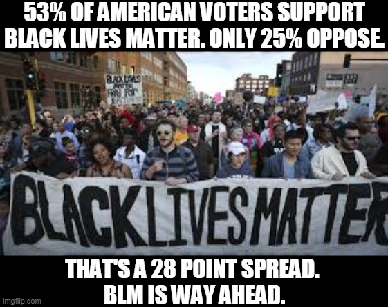 Trump and the Elephant Echo Chamber are wrong to demonize Black Lives Matter. The country is changing rapidly. Pay attention. | 53% OF AMERICAN VOTERS SUPPORT BLACK LIVES MATTER. ONLY 25% OPPOSE. THAT'S A 28 POINT SPREAD. 
BLM IS WAY AHEAD. | image tagged in black lives matter,american,voters,approval,racists,losers | made w/ Imgflip meme maker