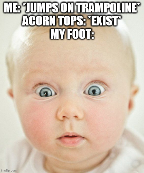no pain no gain | ME: *JUMPS ON TRAMPOLINE*
ACORN TOPS: *EXIST*
MY FOOT: | image tagged in memes,acorn,acorns,trampoline,jump,feet | made w/ Imgflip meme maker