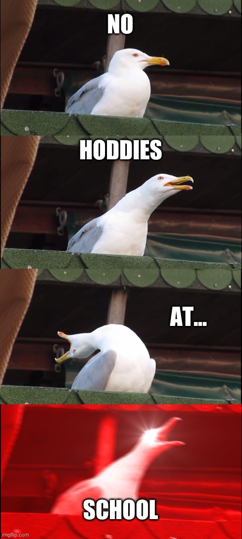 Inhaling Seagull | NO; HODDIES; AT... SCHOOL | image tagged in memes,inhaling seagull | made w/ Imgflip meme maker