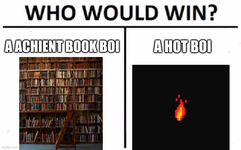 Who Would Win? | A ACHIENT BOOK BOI; A HOT BOI | image tagged in memes,who would win | made w/ Imgflip meme maker