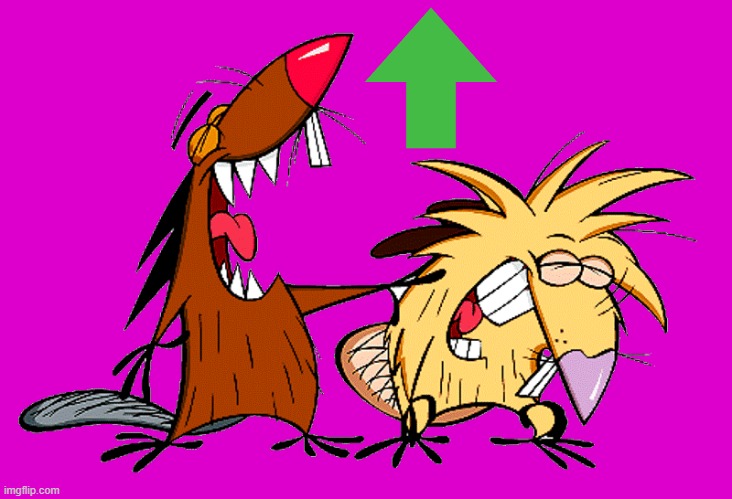 angry beavers | image tagged in angry beavers | made w/ Imgflip meme maker