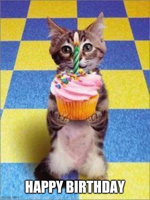 Happy Birthday Cat | HAPPY BIRTHDAY | image tagged in happy birthday cat | made w/ Imgflip meme maker