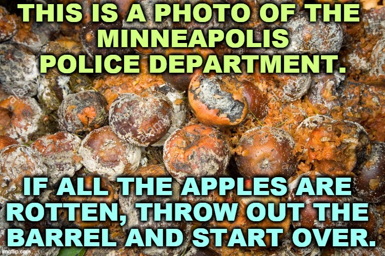 Sometimes toxic corruption spreads and poisons the whole barrel. The only thing to do is get rid of it all and start over fresh. | THIS IS A PHOTO OF THE 
MINNEAPOLIS POLICE DEPARTMENT. IF ALL THE APPLES ARE 
ROTTEN, THROW OUT THE 
BARREL AND START OVER. | image tagged in police brutality,corruption,poison,fresh,start | made w/ Imgflip meme maker