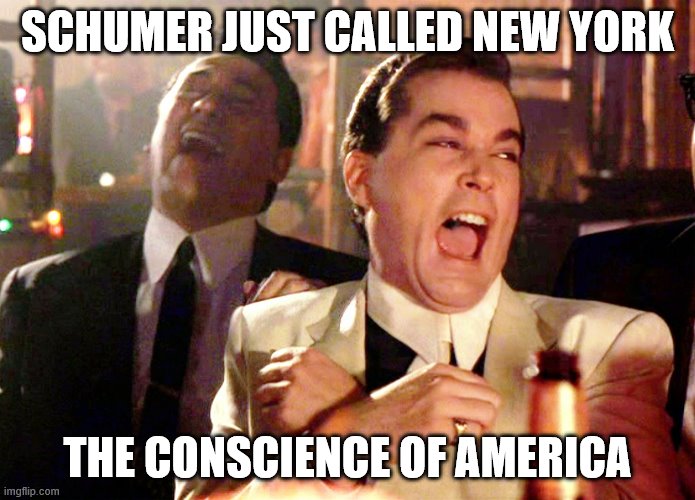 That takes some real practice to say that and keep a straight face. | SCHUMER JUST CALLED NEW YORK; THE CONSCIENCE OF AMERICA | image tagged in good fellas hilarious,chuck schumer,funny memes,politics,george floyd | made w/ Imgflip meme maker