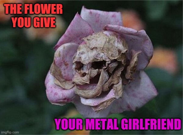 METAL FLOWER | THE FLOWER YOU GIVE; YOUR METAL GIRLFRIEND | image tagged in metal,flower | made w/ Imgflip meme maker