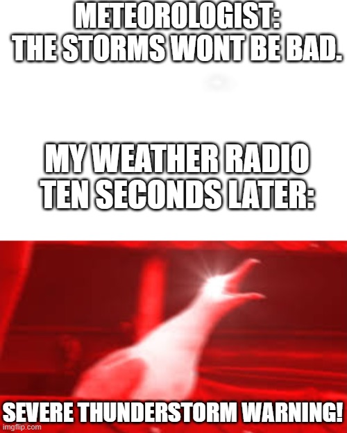 rip ears | METEOROLOGIST: THE STORMS WONT BE BAD. MY WEATHER RADIO TEN SECONDS LATER:; SEVERE THUNDERSTORM WARNING! | image tagged in dumb meteoroligist | made w/ Imgflip meme maker