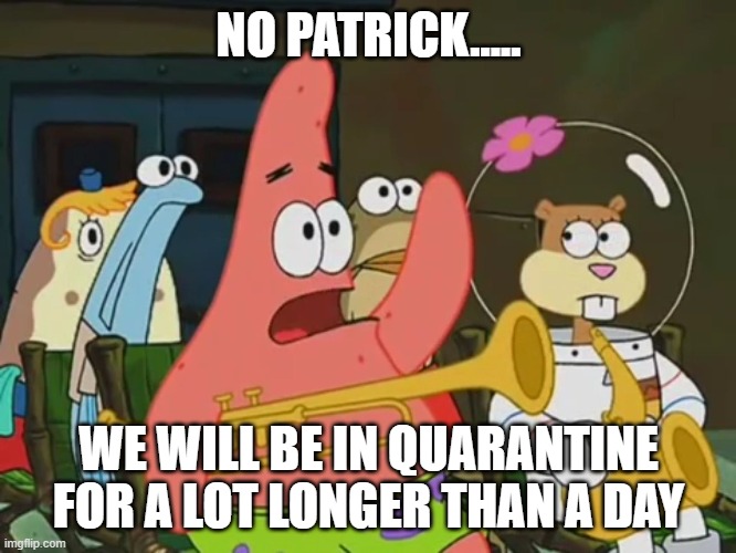 Is mayonnaise an instrument? | NO PATRICK..... WE WILL BE IN QUARANTINE FOR A LOT LONGER THAN A DAY | image tagged in is mayonnaise an instrument,quarantine,spongebob squarepants,patrick star,band | made w/ Imgflip meme maker