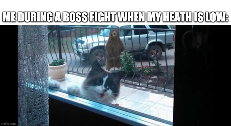 Help!!! | ME DURING A BOSS FIGHT WHEN MY HEATH IS LOW: | image tagged in the cat and the bear | made w/ Imgflip meme maker