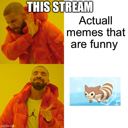 Drake Hotline Bling | THIS STREAM; Actuall memes that are funny | image tagged in memes,drake hotline bling,furret | made w/ Imgflip meme maker