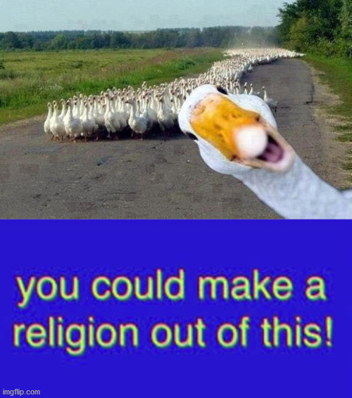 Goose You Could Make A Religion Out Of | image tagged in goose,you could make a religion out of this | made w/ Imgflip meme maker