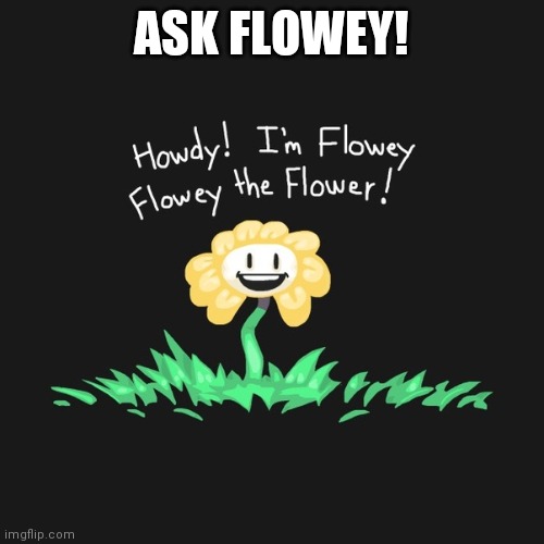 Ask flowey | ASK FLOWEY! | image tagged in ask flowey | made w/ Imgflip meme maker