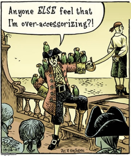 LOOKS GOOD TO ME | image tagged in pirate,pirates,comics/cartoons | made w/ Imgflip meme maker