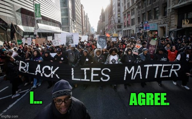 I fully endorse BLM. | AGREE. I... | image tagged in blm,black lies matter | made w/ Imgflip meme maker