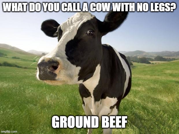 Mooooo | WHAT DO YOU CALL A COW WITH NO LEGS? GROUND BEEF | image tagged in cow | made w/ Imgflip meme maker