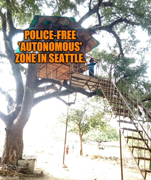 Really? | POLICE-FREE 'AUTONOMOUS' ZONE IN SEATTLE. | image tagged in protests,seattle,2020,police | made w/ Imgflip meme maker