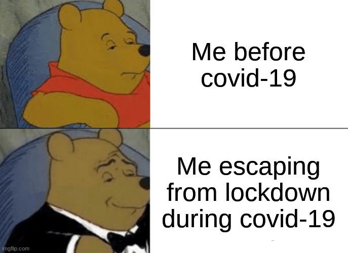 Covidscape | Me before covid-19; Me escaping from lockdown during covid-19 | image tagged in memes,tuxedo winnie the pooh | made w/ Imgflip meme maker