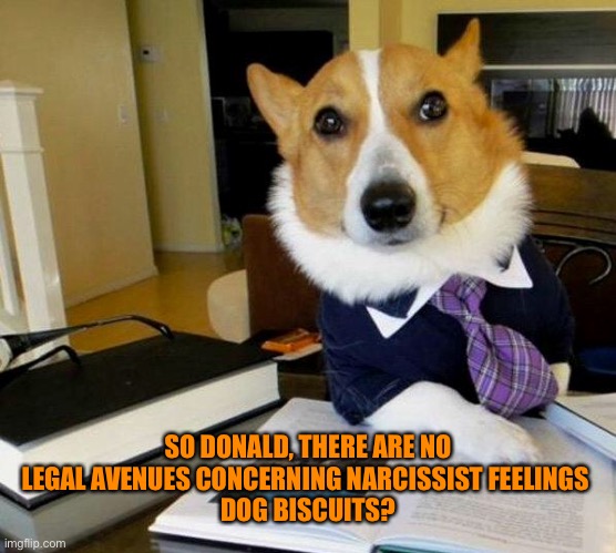 Lawyer dog | SO DONALD, THERE ARE NO LEGAL AVENUES CONCERNING NARCISSIST FEELINGS 
DOG BISCUITS? | image tagged in lawyer dog | made w/ Imgflip meme maker