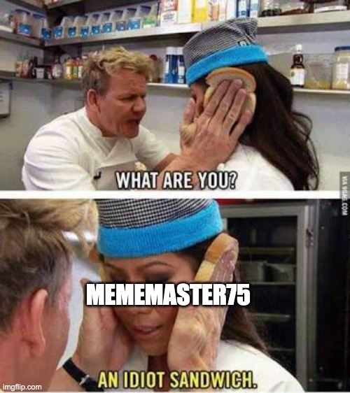 Idiot sandwich | MEMEMASTER75 | image tagged in idiot sandwich | made w/ Imgflip meme maker