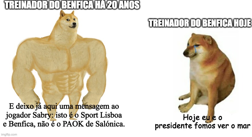 44pmse.jpg