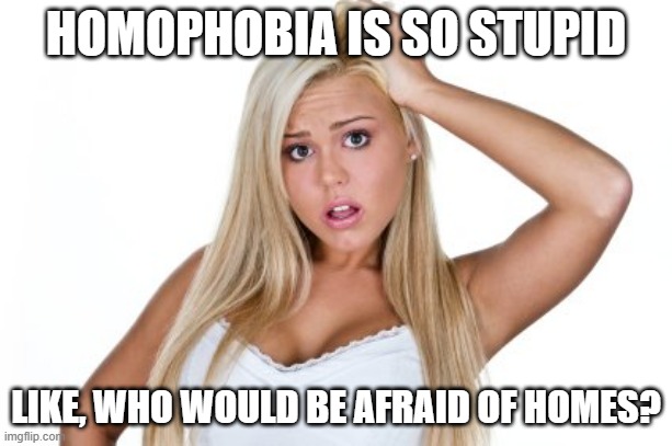 Homo-Moronic | HOMOPHOBIA IS SO STUPID; LIKE, WHO WOULD BE AFRAID OF HOMES? | image tagged in dumb blonde | made w/ Imgflip meme maker