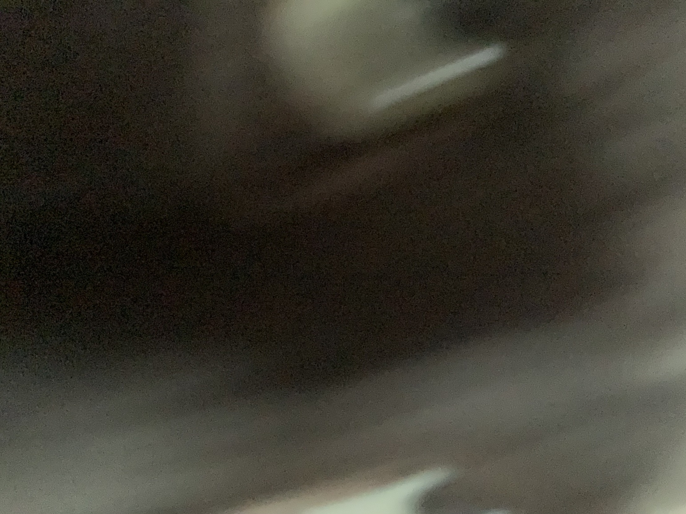 Phone cat Blank Meme Template