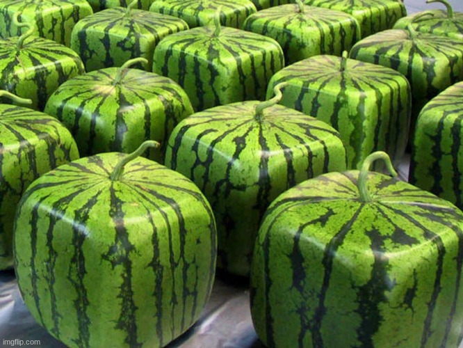Minecraft Melons | image tagged in minecraft melons | made w/ Imgflip meme maker